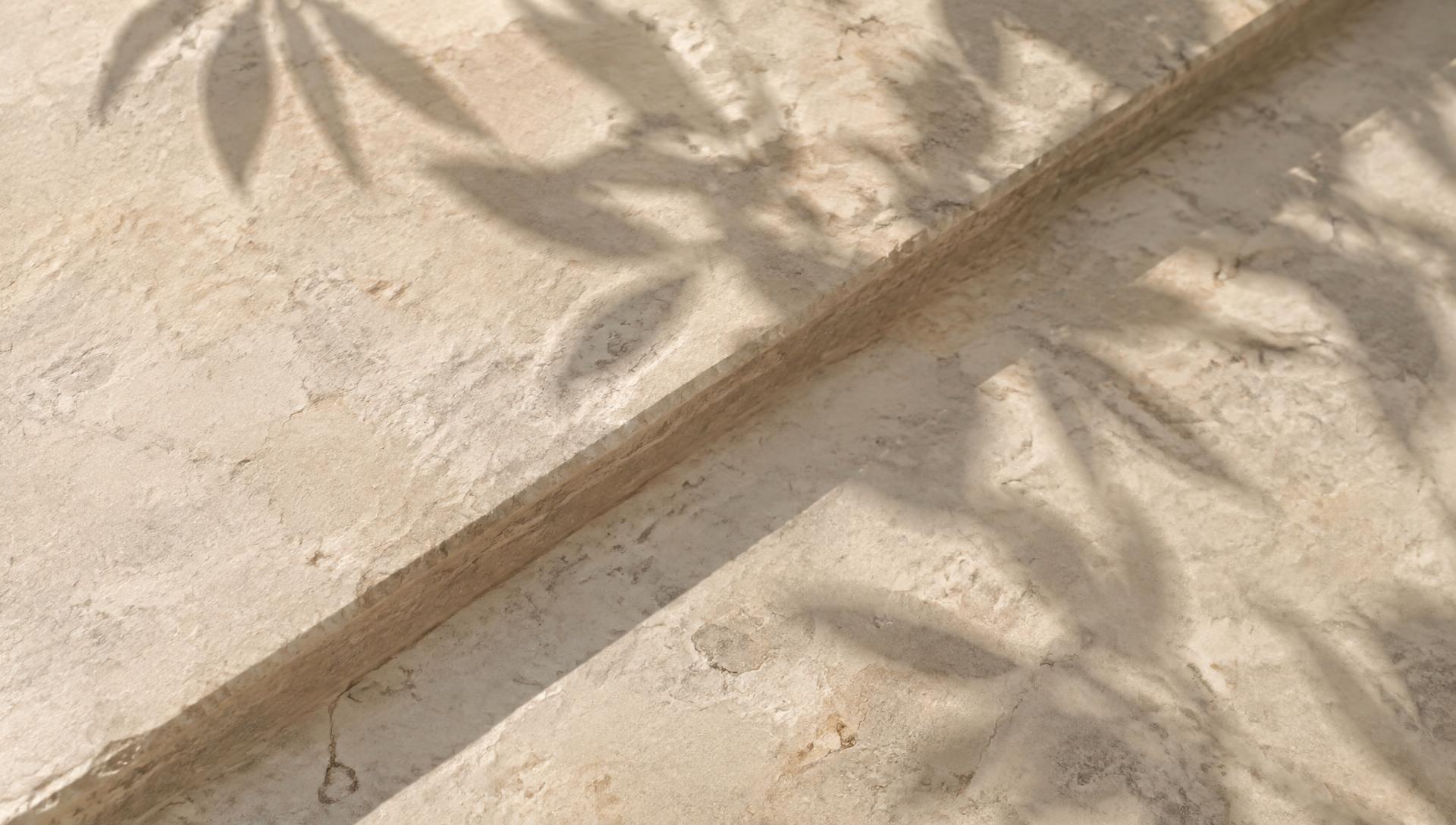 Textura de piedra con sombras de vegetación